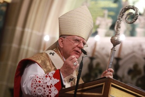 arcybiskup jędraszewski